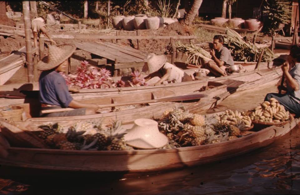 A picture containing nature, raft, several
Description automatically generated